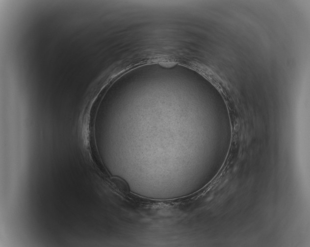 X0000102360290200808011458