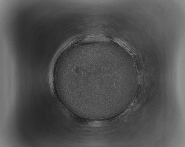 X0000102360293200808011458