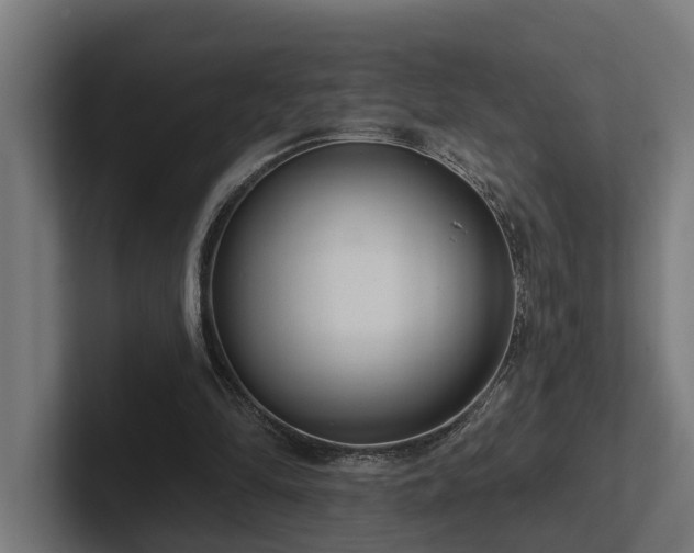 X0000102360294200808011458