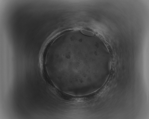 X0000102360295200808011458