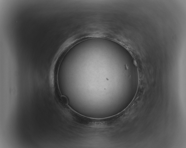 X0000102360296200808011458