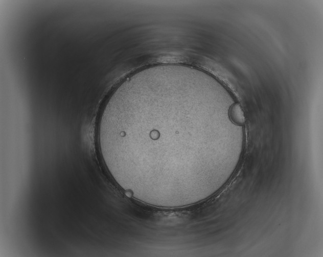 X0000102360297200808011458