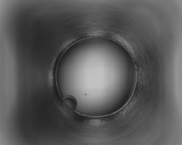 X0000102360298200808011458