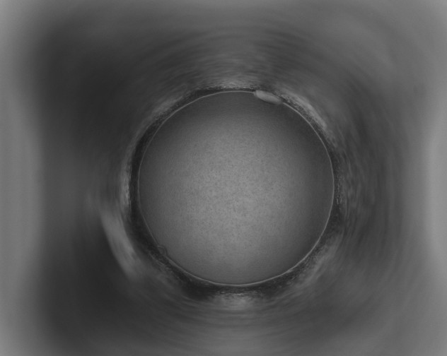 X0000102360299200808011458
