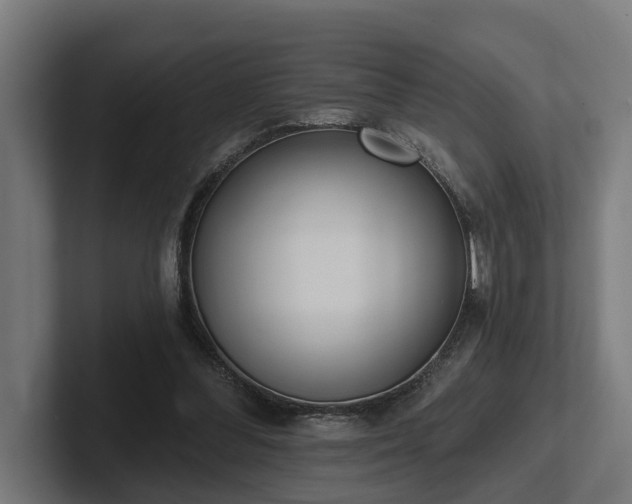 X0000102360300200808011458