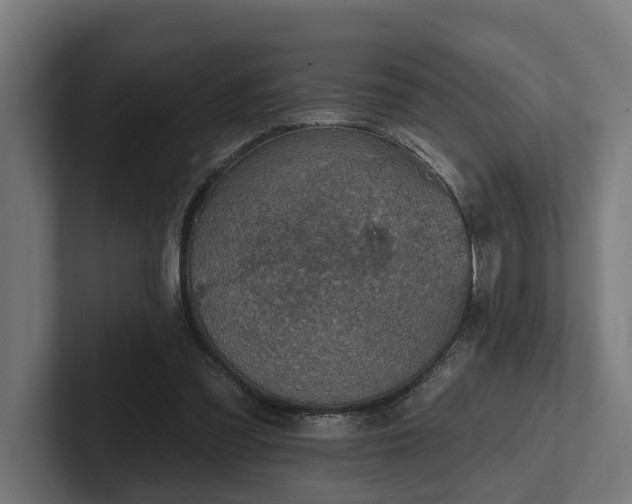 X0000102360301200808011458