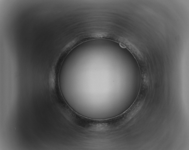 X0000102360304200808011458