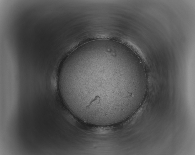 X0000102360305200808011458