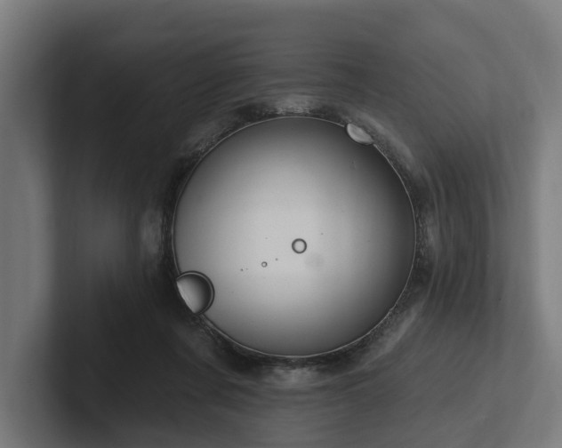 X0000102360311200808011458