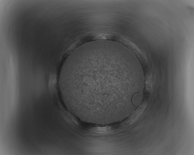X0000102360314200808011458