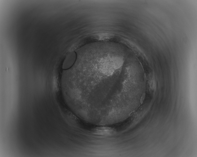 X0000102360316200808011458
