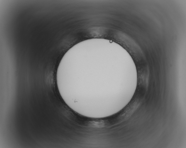 X0000102360317200808011458