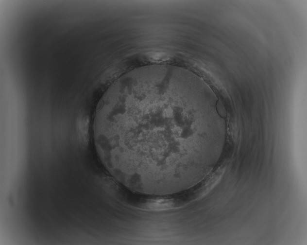 X0000102360319200808011458
