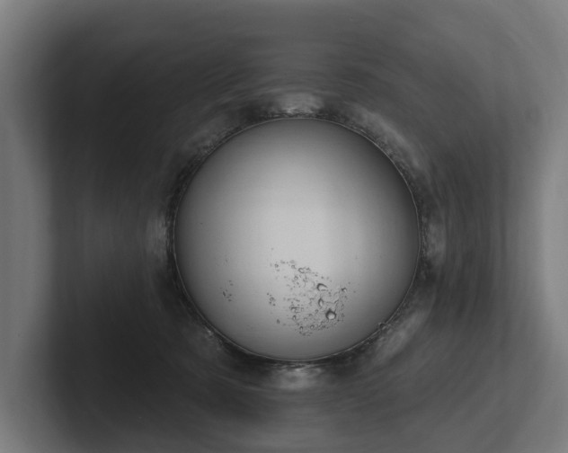 X0000102360321200808011458