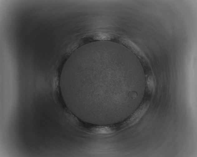 X0000102360322200808011458