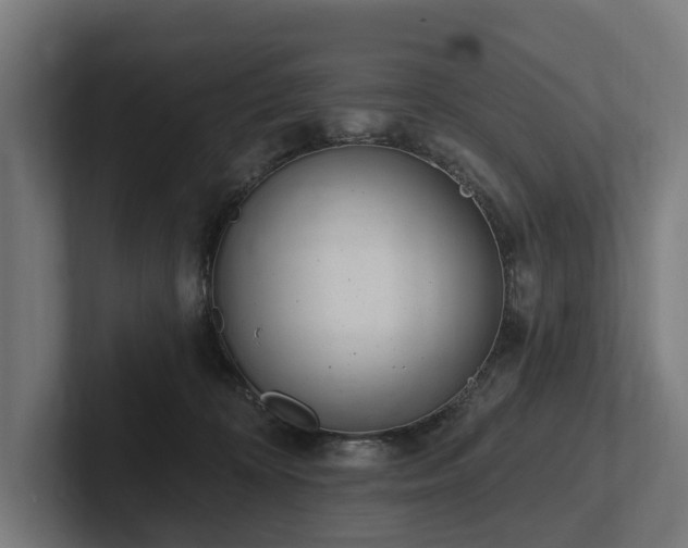 X0000102360324200808011458