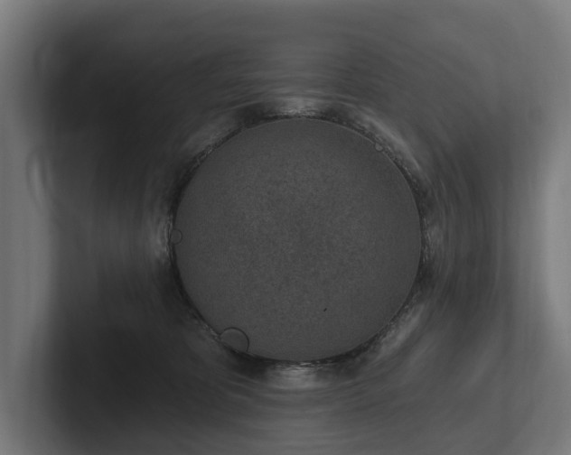 X0000102360325200808011458