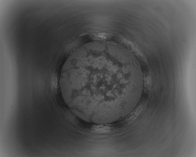 X0000102360331200808011458