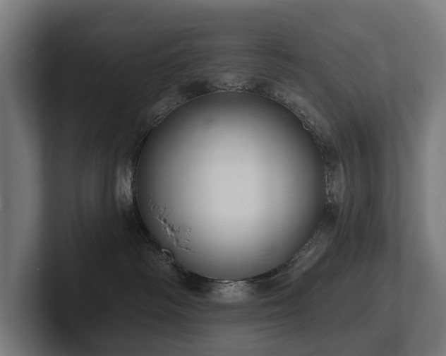 X0000102360334200808011458