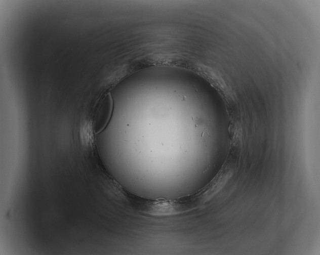 X0000102360335200808011458
