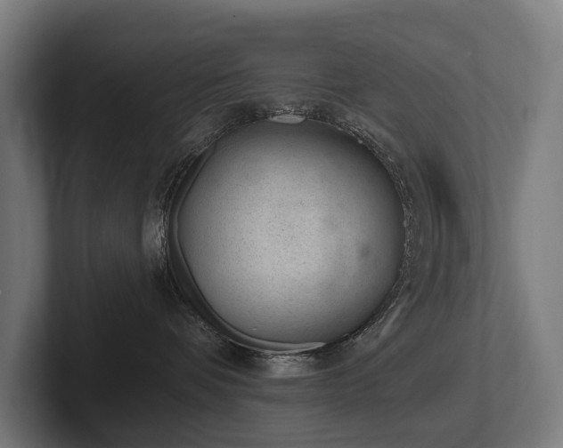 X0000102360336200808011458