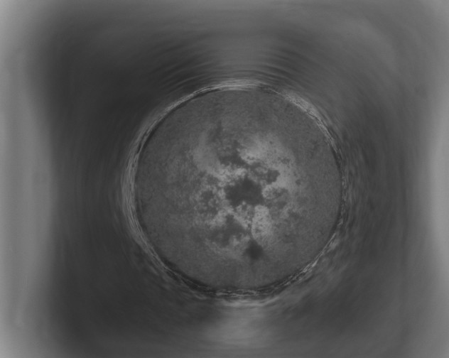 X0000102360337200808011457