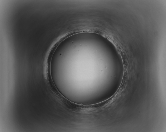 X0000102360342200808011457