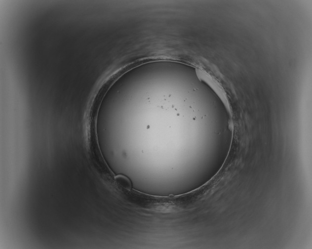 X0000102360344200808011457