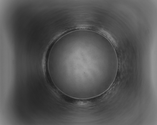 X0000102360346200808011457