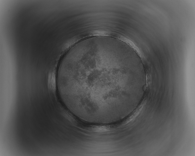 X0000102360349200808011457