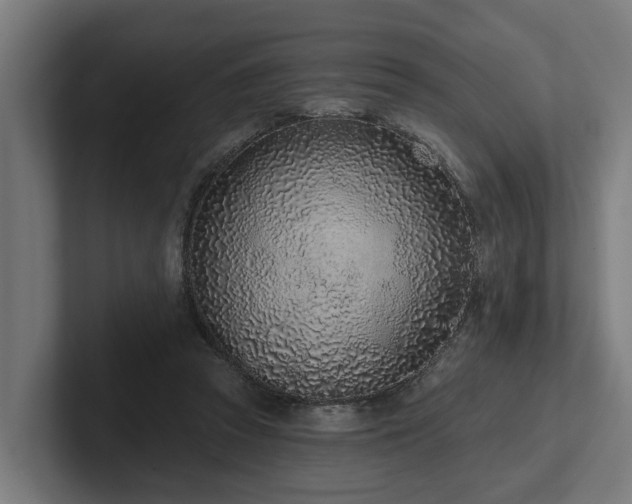 X0000102360353200808011457