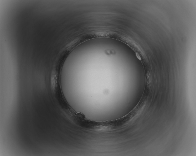 X0000102360356200808011457