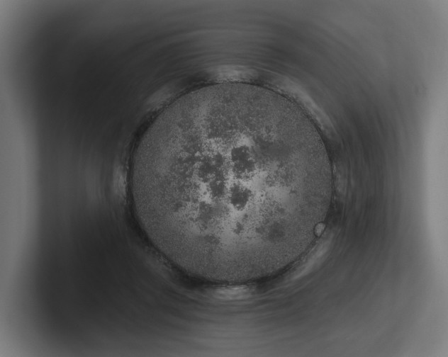 X0000102360357200808011457