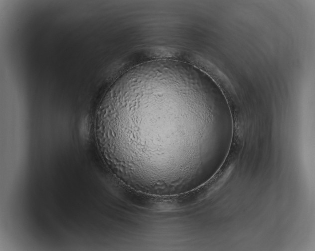 X0000102360359200808011457