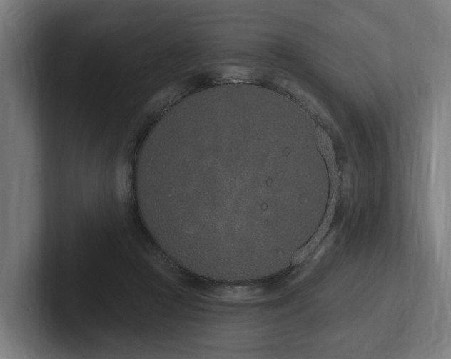 X0000102360361200808011457