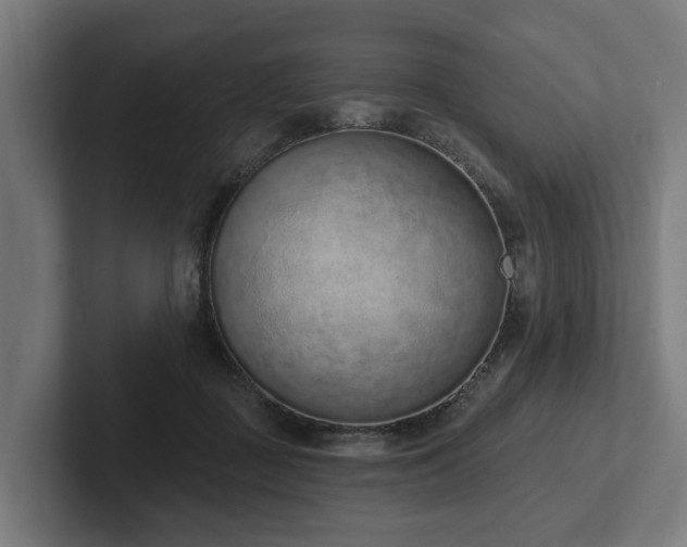 X0000102360363200808011457