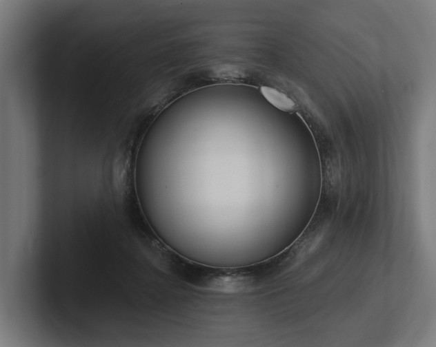X0000102360364200808011457