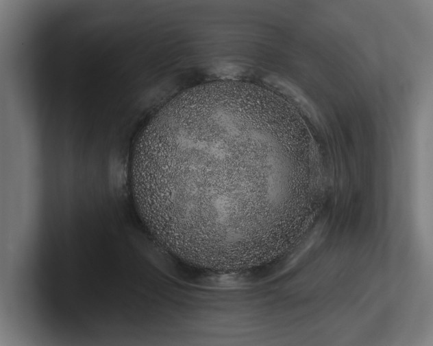 X0000102360365200808011457