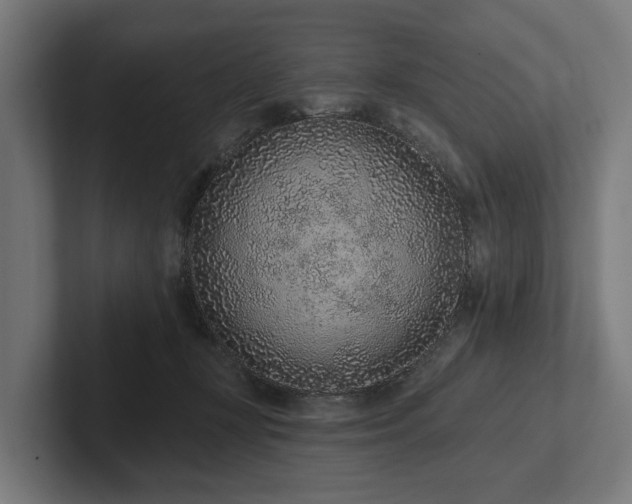 X0000102360367200808011457