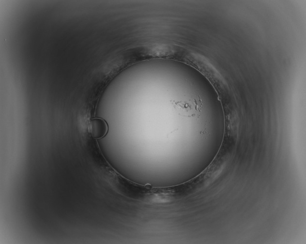 X0000102360368200808011457