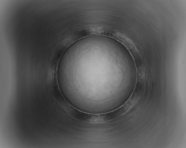 X0000102360369200808011457