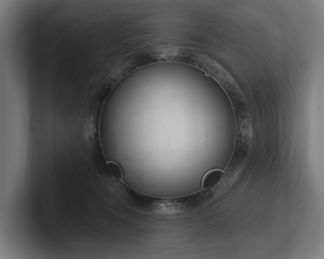 X0000102360372200808011457