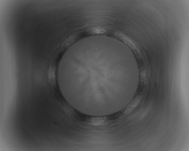 X0000102360373200808011457