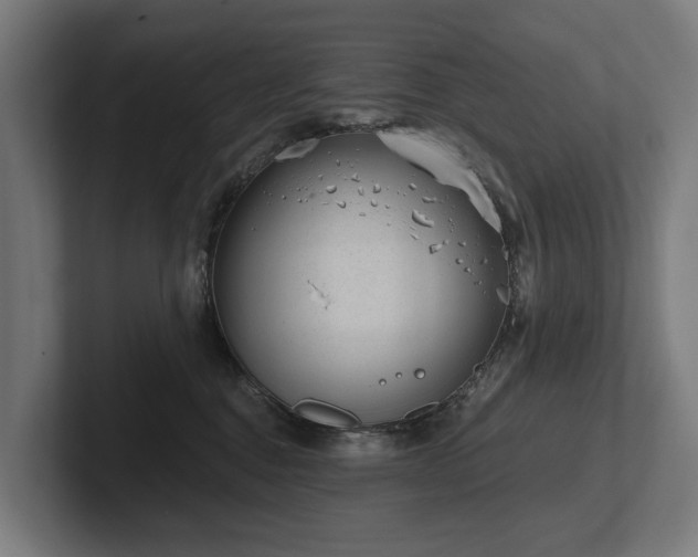 X0000102360376200808011458
