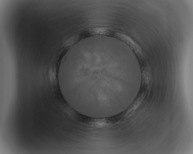 X0000102360377200808011458