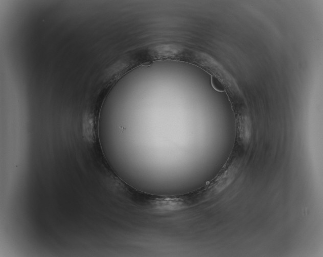 X0000102360378200808011458