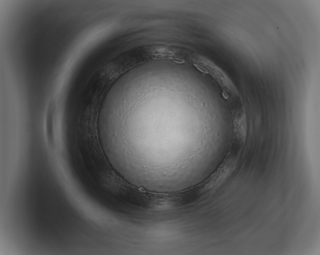 X0000102360381200808011458