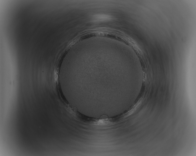 X0000102360382200808011458