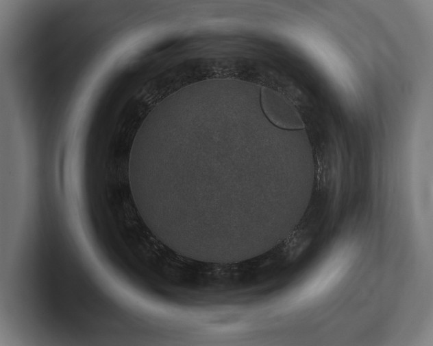X0000102360383200808011458