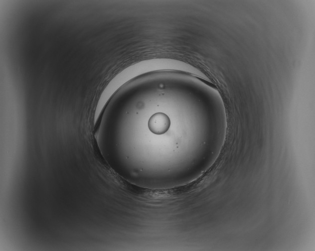 X0000102360384200808011458